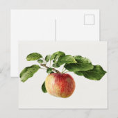  schilderen van de Waterverf van appelfruit Briefkaart (Voorkant / Achterkant)