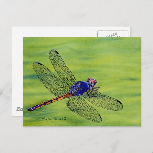 Schilderen van de waterverf van Dragonfly Briefkaart (Voorkant / Achterkant)