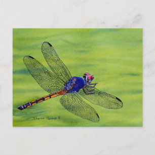 Schilderen van de waterverf van Dragonfly Briefkaart