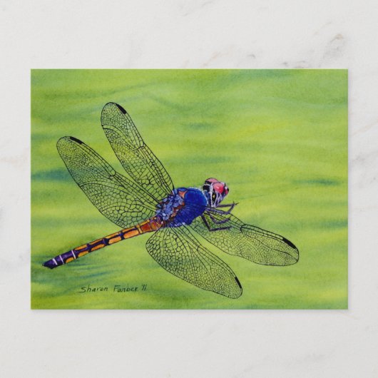 Schilderen van de waterverf van Dragonfly Briefkaart (Voorkant)