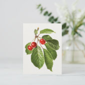  schilderen van de Waterverf van kerriekfruit Briefkaart (Staand voorkant)