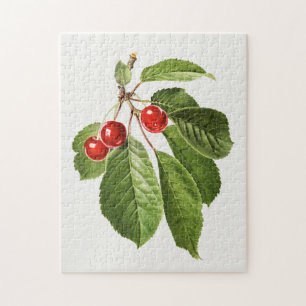 schilderen van de Waterverf van kerriekfruit Legpuzzel