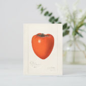 schilderen van de Waterverf van Persimmon-fruit Briefkaart (Staand voorkant)