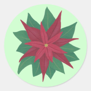 Schilderen van een bloem van Poinsettia Kerst stic Ronde Sticker