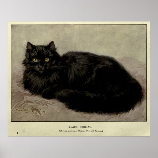  schilderen van een zwarte kat (1903) poster (Voorkant)