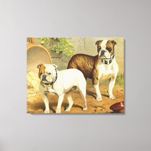  schilderen van Engelse Bulldogs Canvas Afdruk