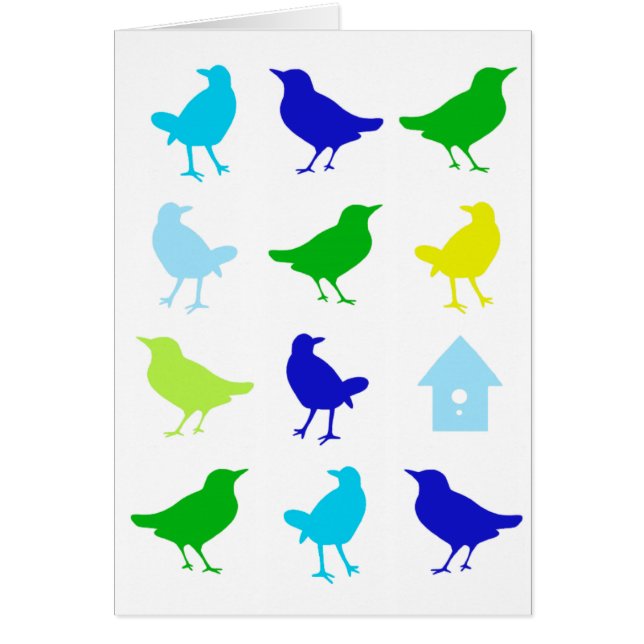 Schilderen van gekleurde vogels door Chariklia Zar (Voorkant)