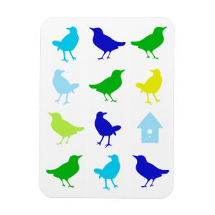 Schilderen van gekleurde vogels door Chariklia Zar Magneet