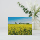 Schilderen van het gele bloementveld briefkaart (Staand voorkant)