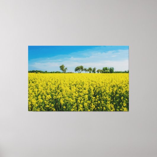 Schilderen van het gele bloementveld canvas afdruk (Voorkant)