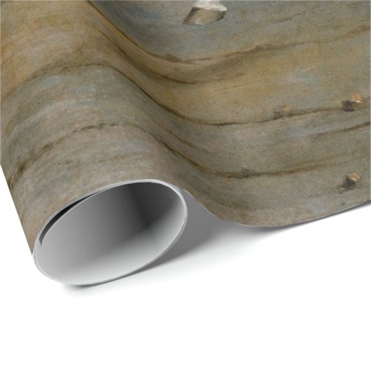 Schilderen van het paardenvervoer cadeaupapier (Rol Hoek)