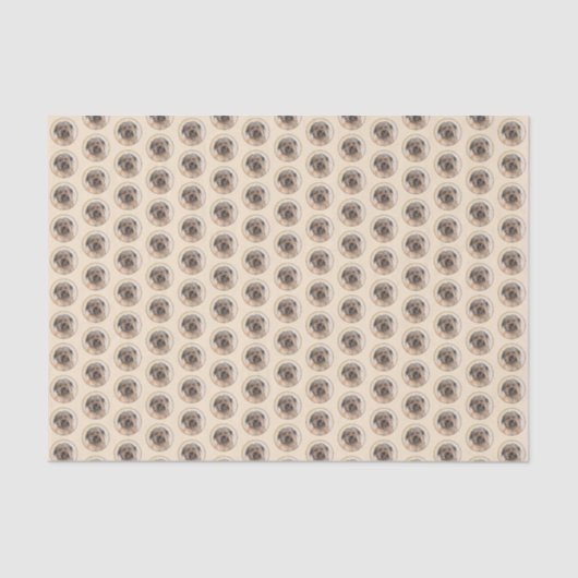 Schilderen van kuddes van Pyrenean - Kute Original Tissuepapier (Voorkant)