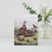  schilderen van kwartelvogels door Fitzwilliam Tai Briefkaart (Staand voorkant)