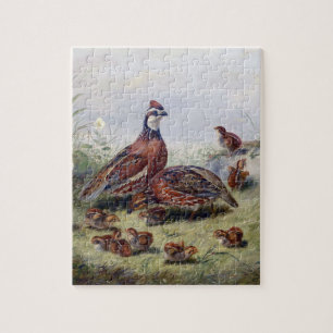  schilderen van kwartelvogels door Fitzwilliam Tai Legpuzzel