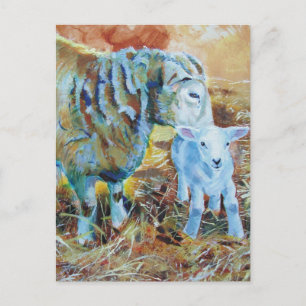 Schilderen van lammeren en schapen briefkaart