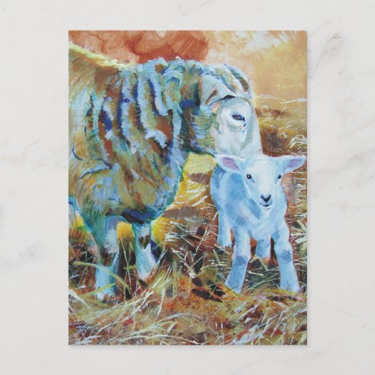 Schilderen van lammeren en schapen briefkaart (Voorkant)