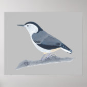 Schilderen van Nuthatch Bird op Wall Posters (Voorkant)