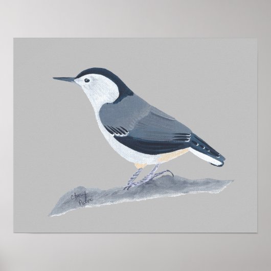Schilderen van Nuthatch Bird op Wall Posters (Voorkant)