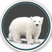 Schilderen van poolBeren - Oorspronkelijke wildern Sticker (Voorkant)