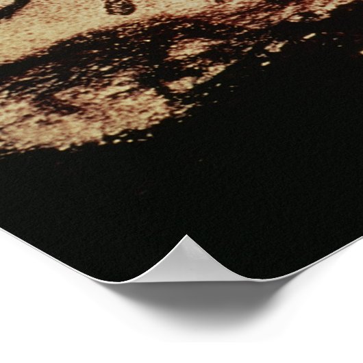 Schilderen van rotsen met een koe poster (Hoek)