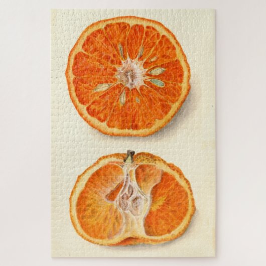  schilderen van tangerines legpuzzel (Verticaal)