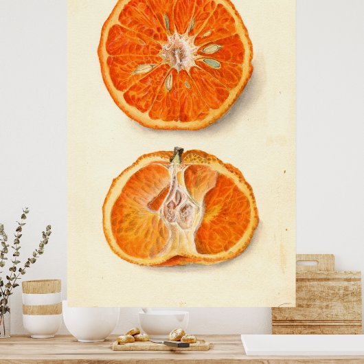  schilderen van tangerines poster (Keuken)