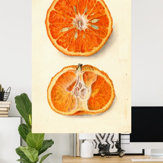  schilderen van tangerines poster (Thuiskantoor)
