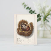 Schilderen van Waterverf op basis van kastanjekaas Briefkaart (Staand voorkant)