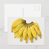  schilderen van Waterverf van bananen Briefkaart (Voorkant / Achterkant)
