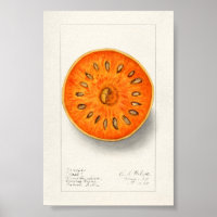 Schilderen van Waterverven van groenten en fruit (