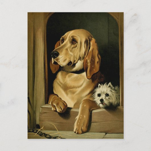  schilderen: Waardigheid en impudentie Briefkaart (Voorkant)