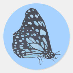Schilderen Zwarte Vlinder Blauwe Vlekken Stickers