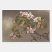  schilderende Hummingbird en appelbloesems Inpakpapier Vel (Voorkant 2)