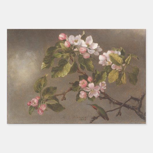  schilderende Hummingbird en appelbloesems Inpakpapier Vel (Voorkant)