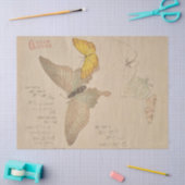 Schilderhandboek van Butterflies van Shunman Tissuepapier (Craft)