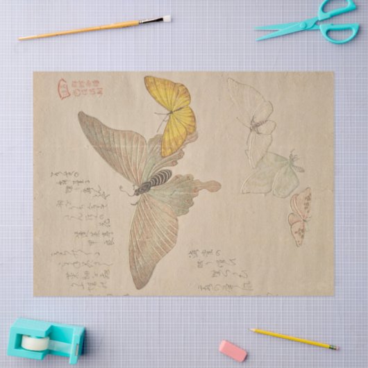 Schilderhandboek van Butterflies van Shunman Tissuepapier (Craft)