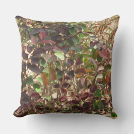 Schilderige groene rode rode bladeren kussen