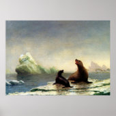 Schilderij Albert Bierstadt, zeehonden Poster (Voorkant)