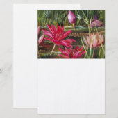 schilderij Roze Bloesems Briefpapier (Voorkant / Achterkant)