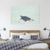 Schilderij Schildpad Canvas Print (Insitu (Slaapkamer))