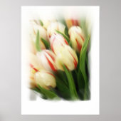 schilderij "Tulps" op doek Poster (Voorkant)
