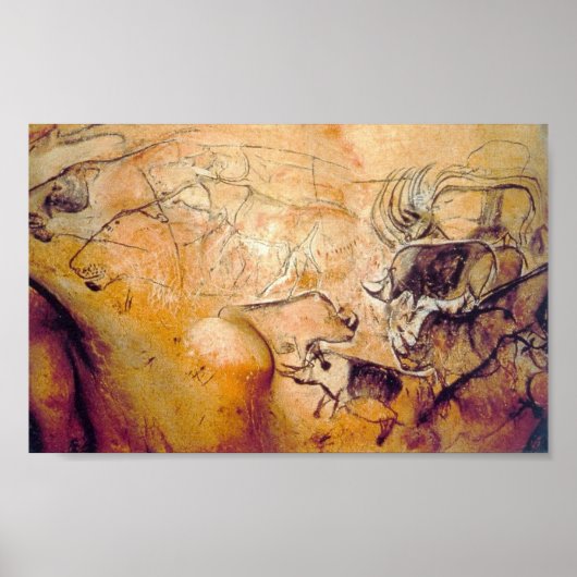 schilderij van Chauvet Cave Poster (Voorkant)