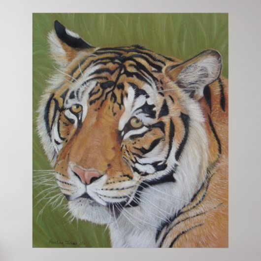 schilderij van de grote kattentijger poster (Voorkant)