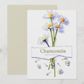 schilderij van de  waterverf Chamomile Kaart (Voorkant / Achterkant)