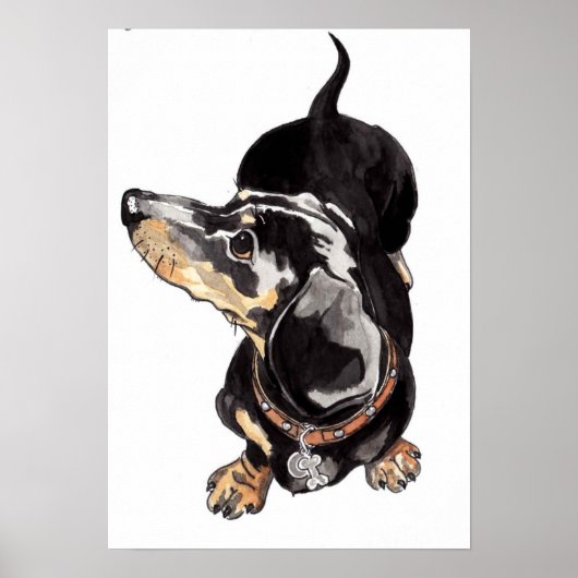 schilderij van de waterverf Dachshund door Annabel Poster (Voorkant)