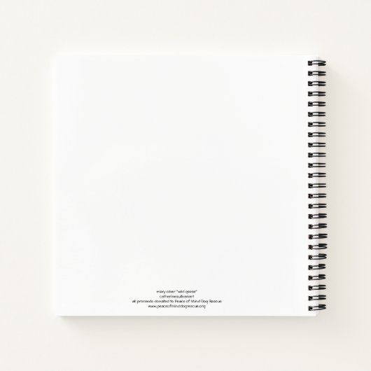 schilderij van de waterverf van ganzen + mary oliv notitieboek (Achterkant)