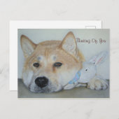 Schilderij van doordachte hond die aan je denkt briefkaart (Voorkant / Achterkant)