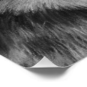 schilderij van een grijze wolf poster (Hoek)