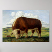  schilderij van een Hereford stier Poster (Voorkant)
