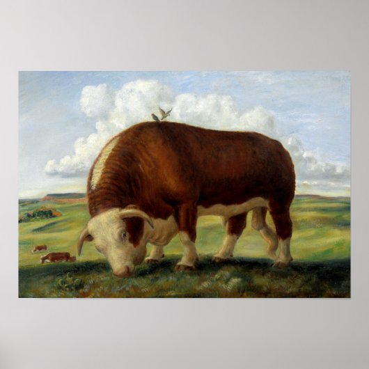  schilderij van een Hereford stier Poster (Voorkant)